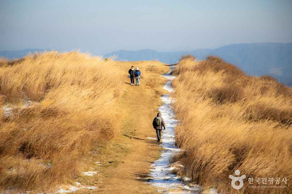 황매산 군립공원 여행 추천 - 로드트립