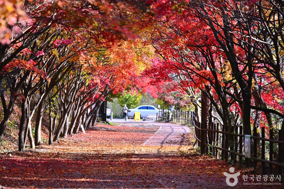 풍암정 여행 추천 - 로드트립