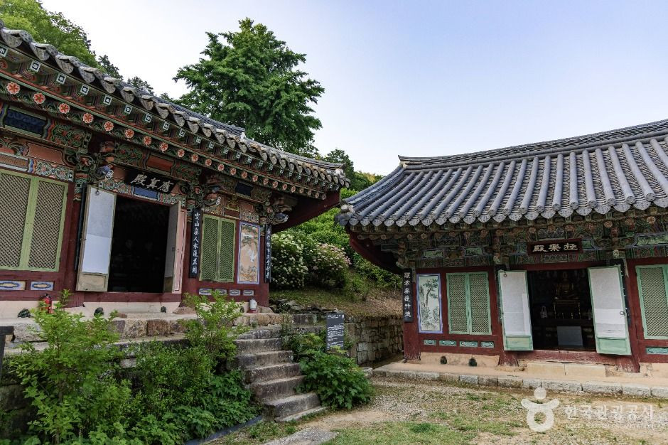 다솔사(경남) 여행 추천 - 로드트립