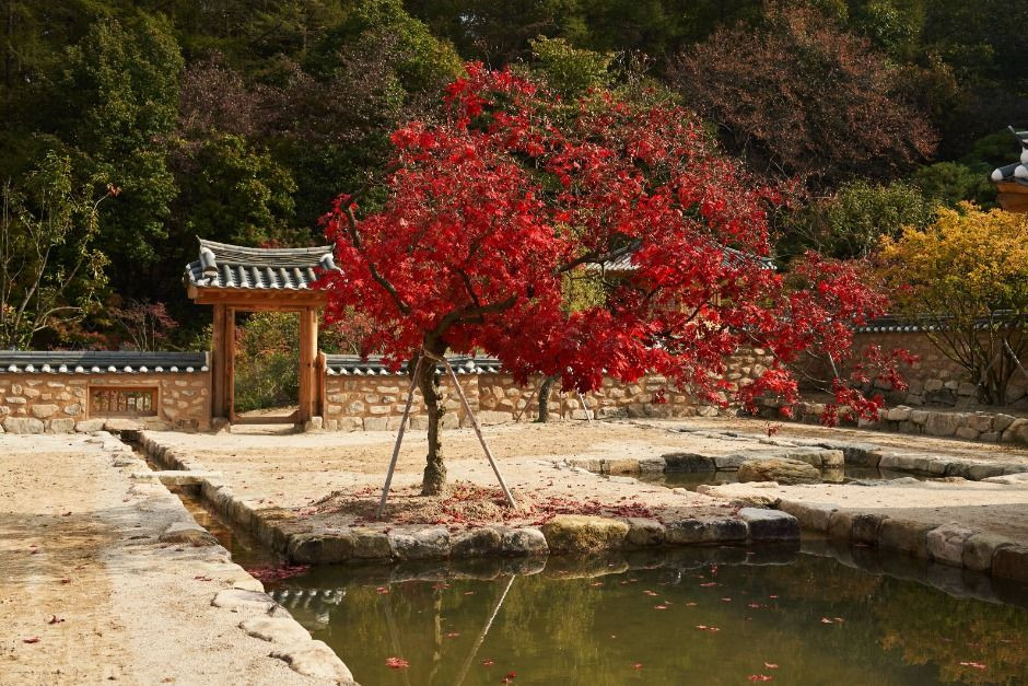 메덩골정원 여행 추천 - 로드트립