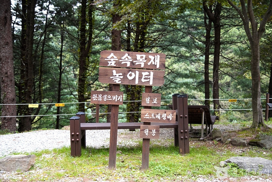 국립 백운산자연휴양림(원주) 여행 추천 - 로드트립