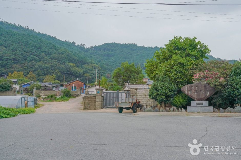 대초마을 여행 추천 - 로드트립