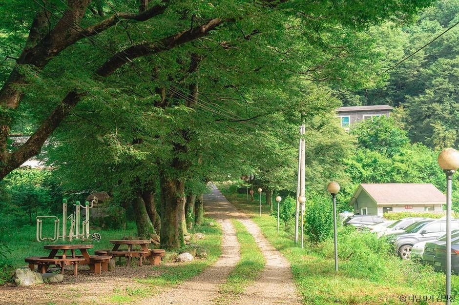 상관 공기마을 편백숲 여행 추천 - 로드트립
