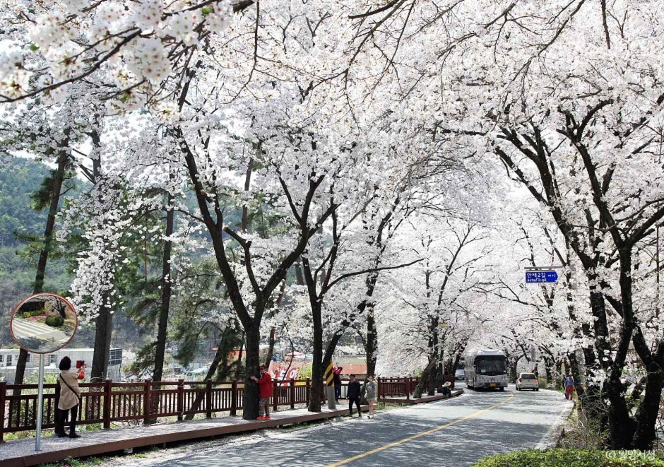 안태공원 여행 추천 - 로드트립
