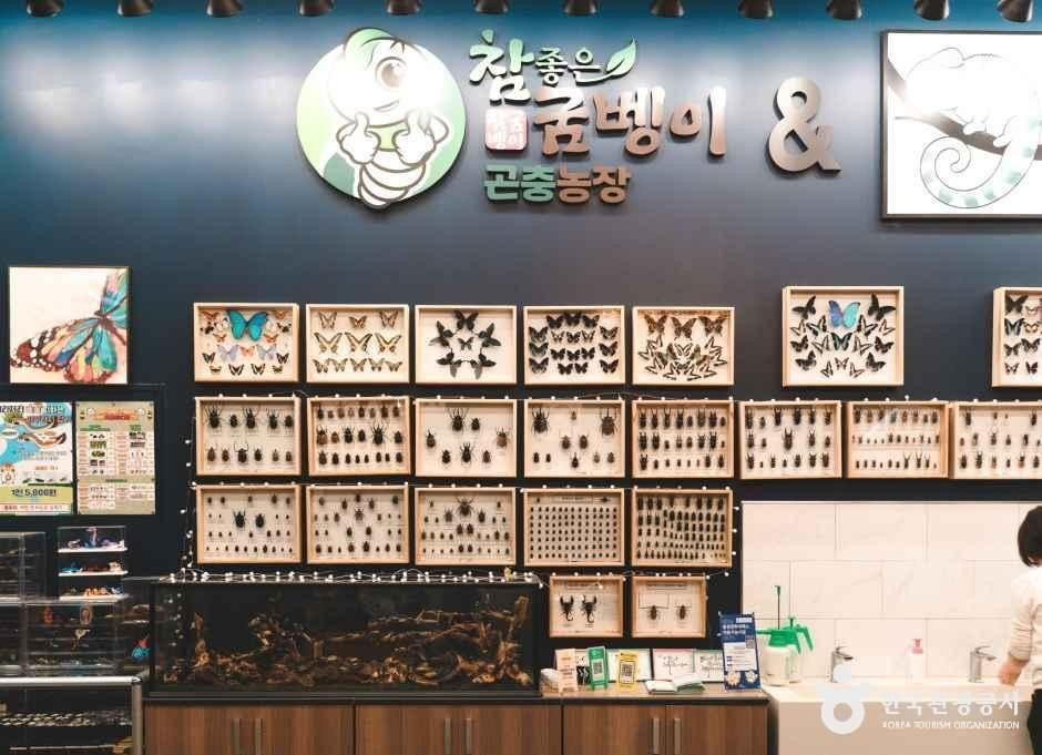 참좋은굼벵이 곤충농장 여행 추천 - 로드트립