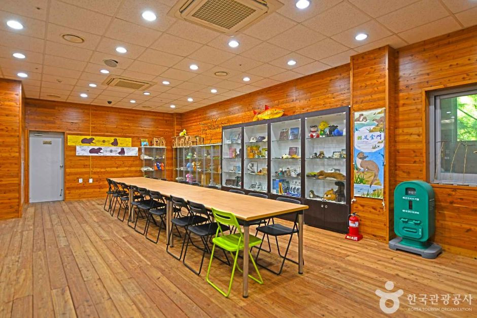 수달연구센터 여행 추천 - 로드트립