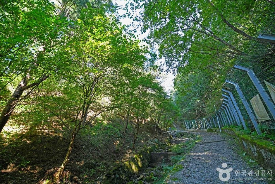 낭천산림욕장 여행 추천 - 로드트립