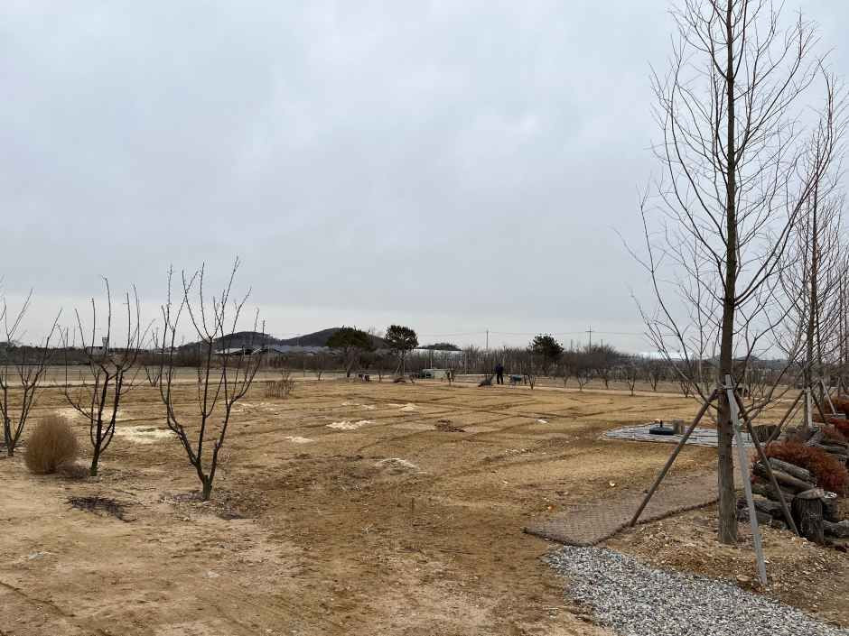 금나루전통장체험농장 여행 추천 - 로드트립