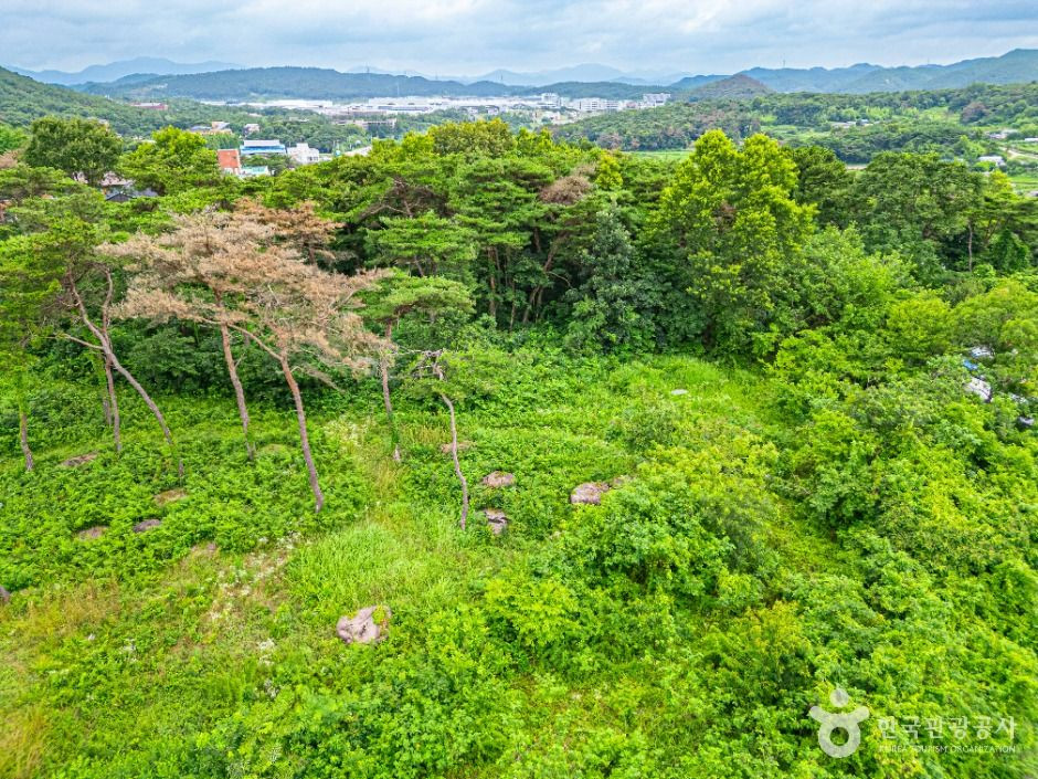 삼거동 고인돌 여행 추천 - 로드트립