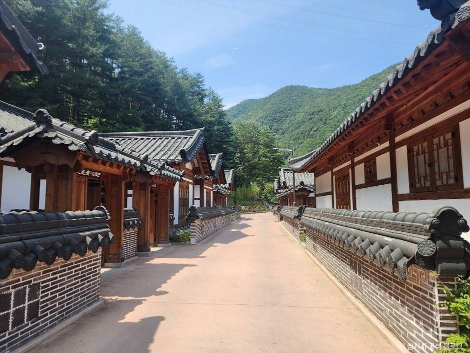 삼척활기자연휴양림 여행 추천 - 로드트립