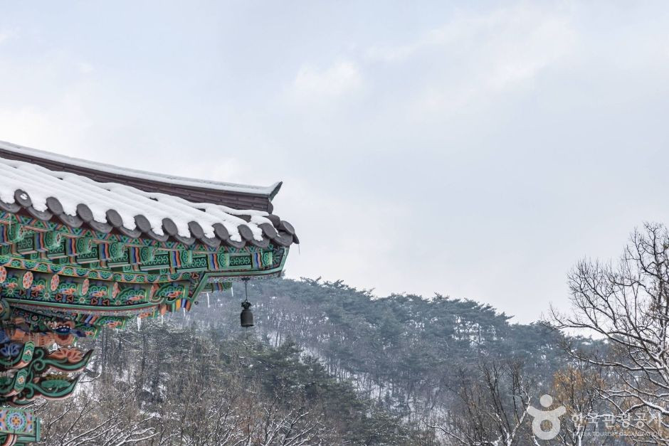 내원사(서울) 여행 추천 - 로드트립