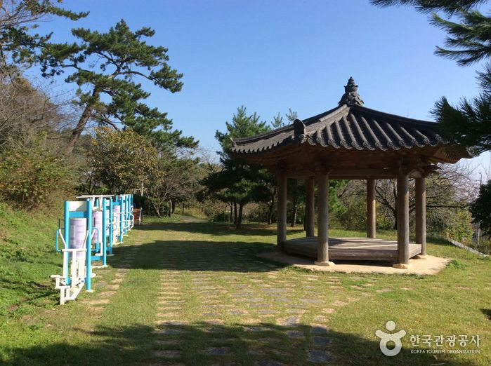 보은산 여행 추천 - 로드트립