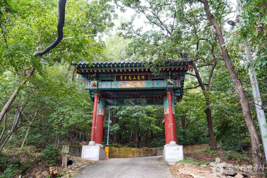 용상사(파주) 여행 추천 - 로드트립