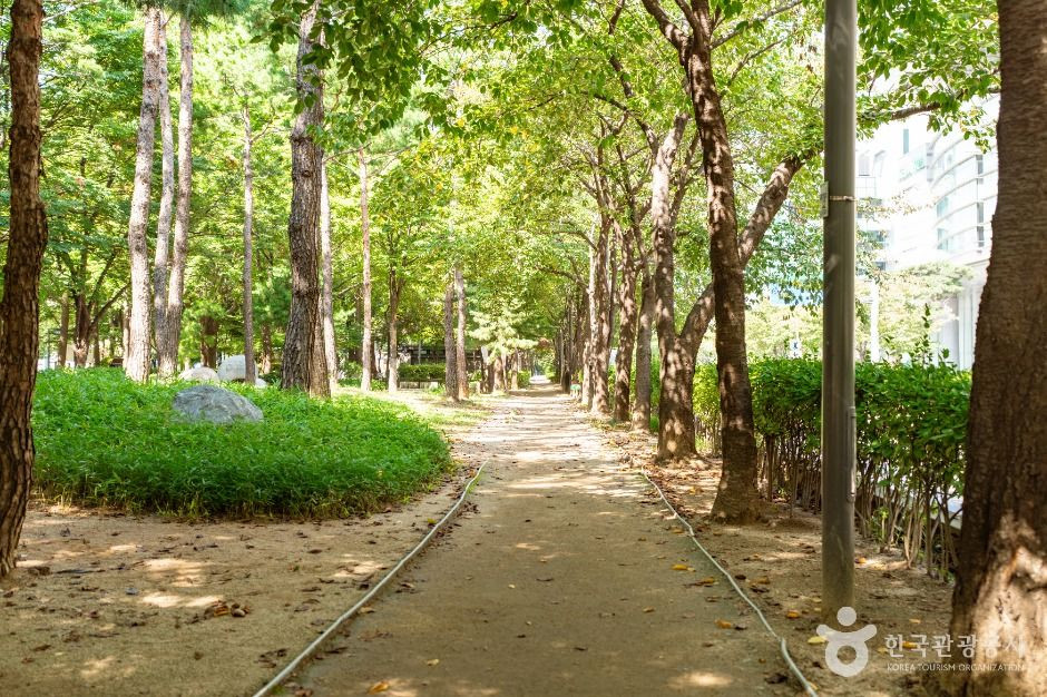 거리공원 여행 추천 - 로드트립