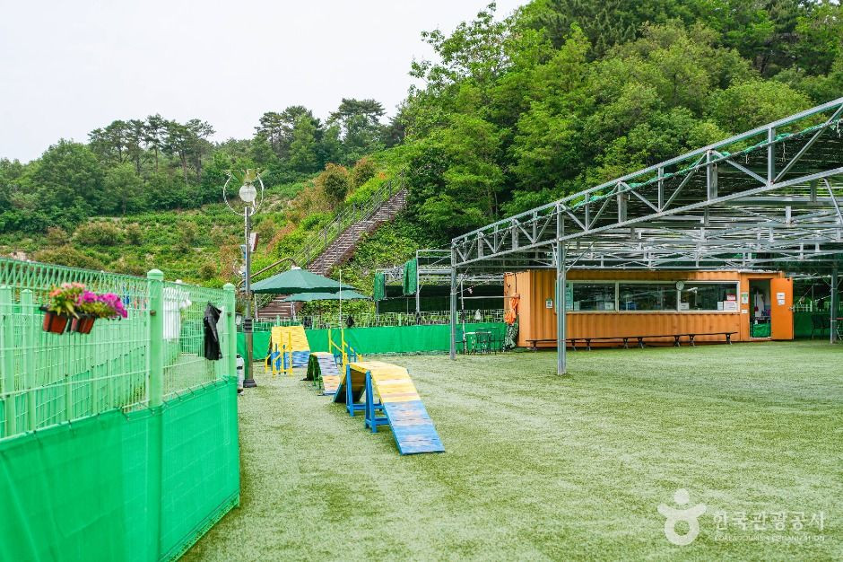 울산애견공원 여행 추천 - 로드트립