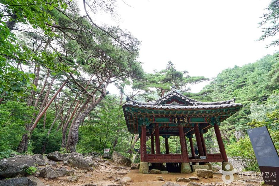 농산정 여행 추천 - 로드트립