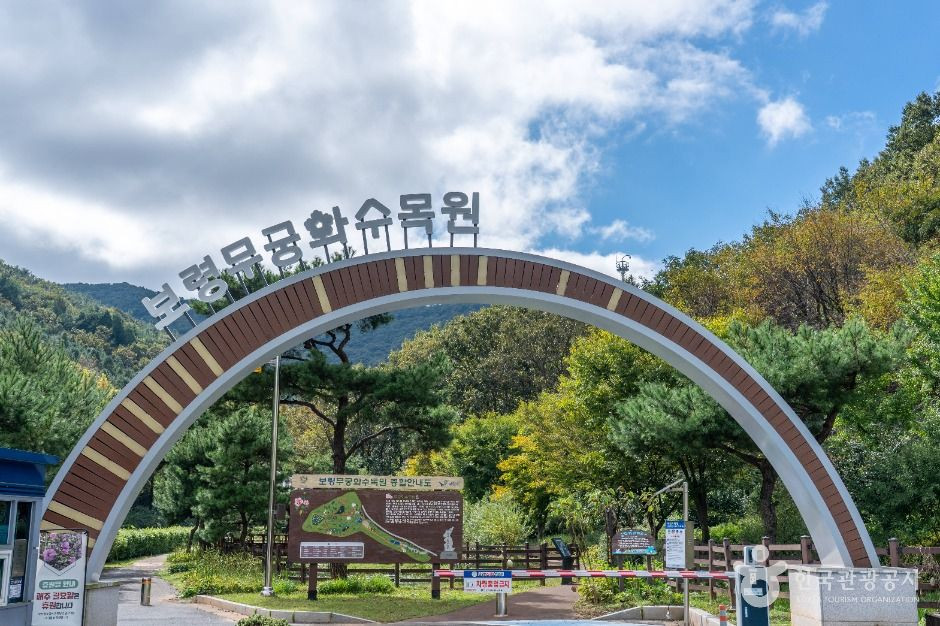 보령 무궁화수목원 여행 추천 - 로드트립