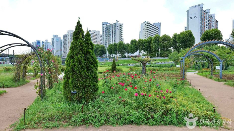 안양천 사계절 테마원 여행 추천 - 로드트립