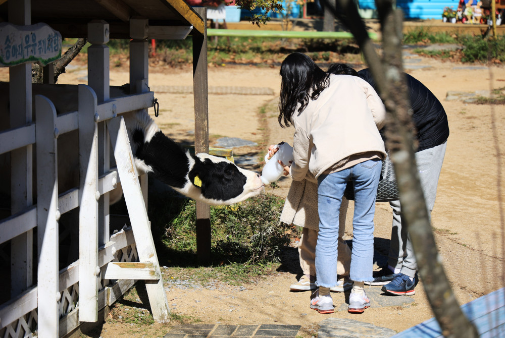 숲속에 동물농장 여행 추천 - 로드트립