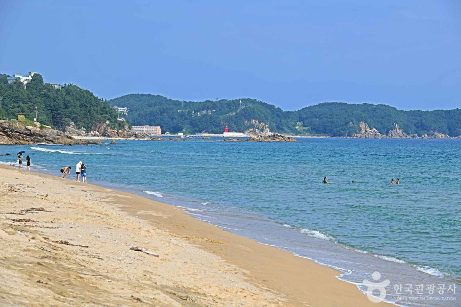 잔교리해변 여행 추천 - 로드트립