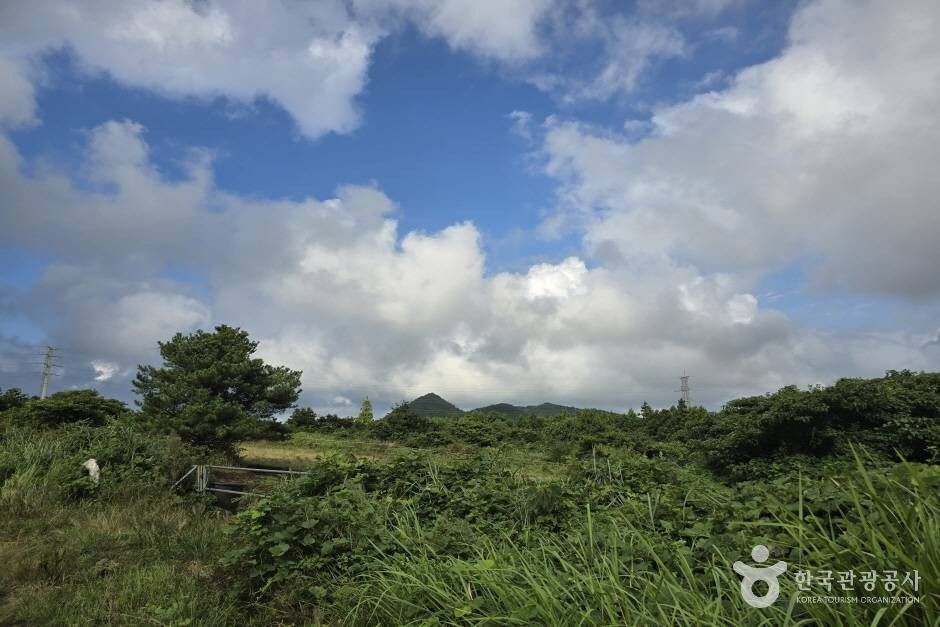 동거문오름 여행 추천 - 로드트립