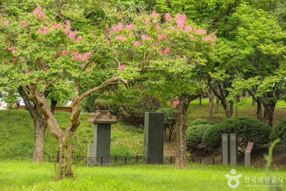 대구부수성비 여행 추천 - 로드트립