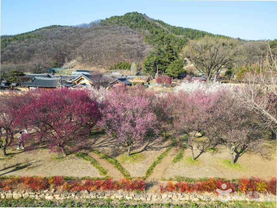 남평문씨본리세거지 여행 추천 - 로드트립
