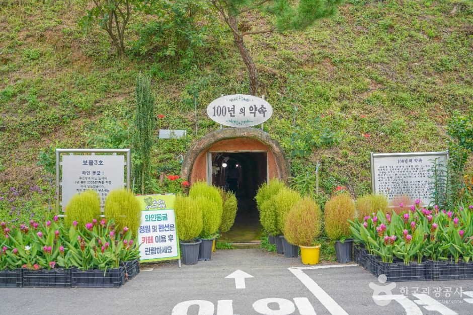 보성 골망태다원 여행 추천 - 로드트립
