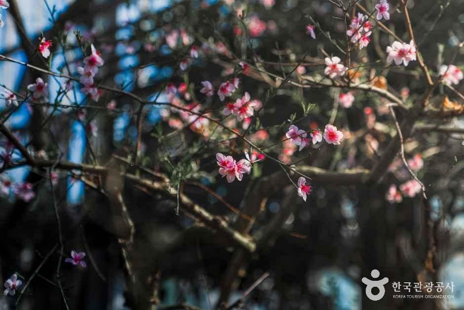 화성시 우리꽃식물원 여행 추천 - 로드트립