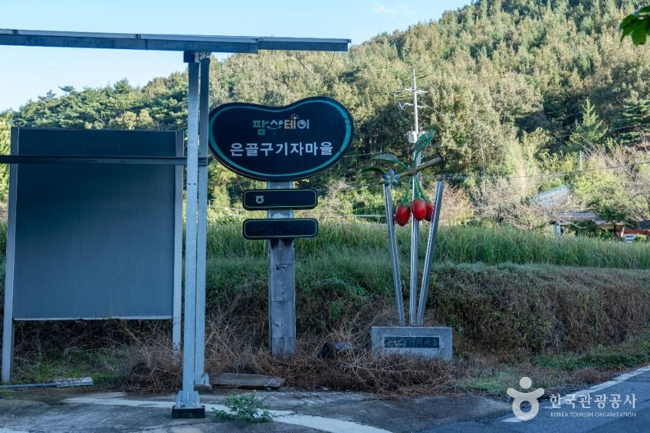 은골구기자마을 여행 추천 - 로드트립