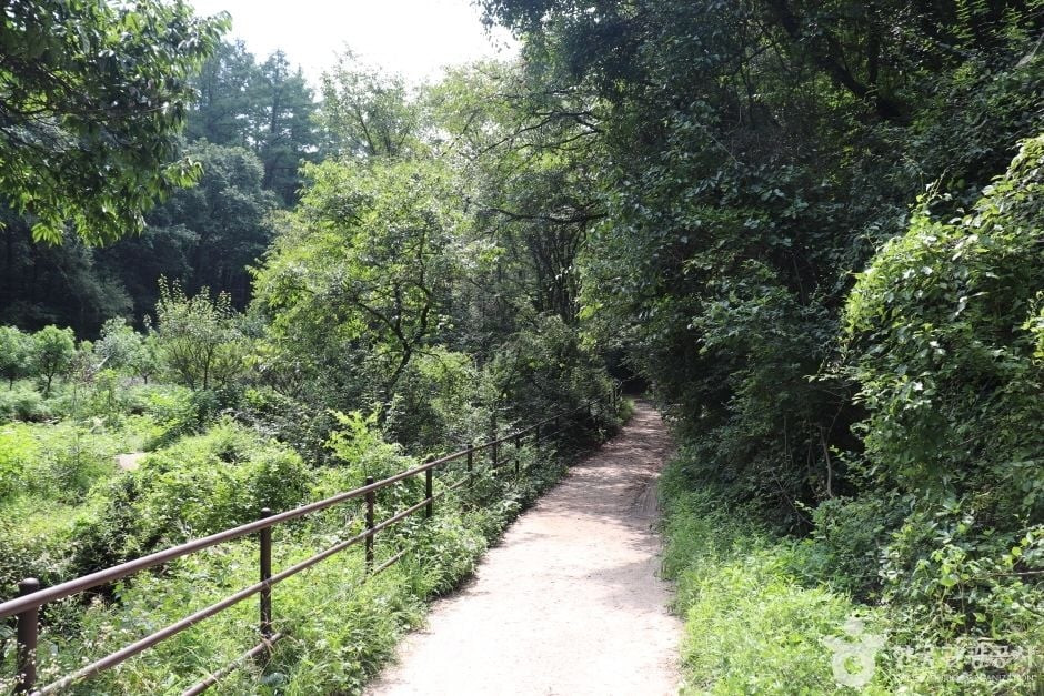 포암산(충주) 여행 추천 - 로드트립
