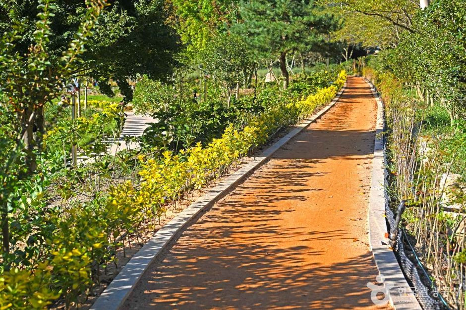 보은산V랜드 여행 추천 - 로드트립
