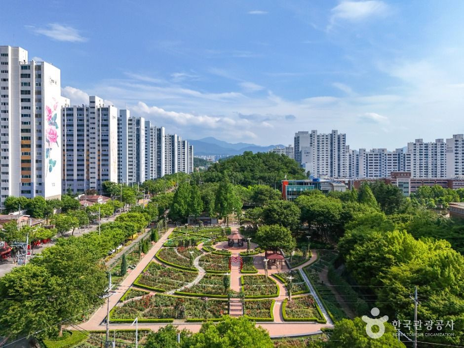 이곡장미공원 여행 추천 - 로드트립