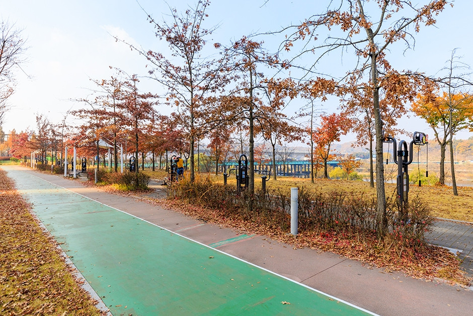 금강로하스산호빛공원 여행 추천 - 로드트립