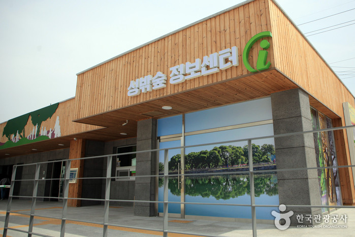 성주 경산리 성밖숲 여행 추천 - 로드트립