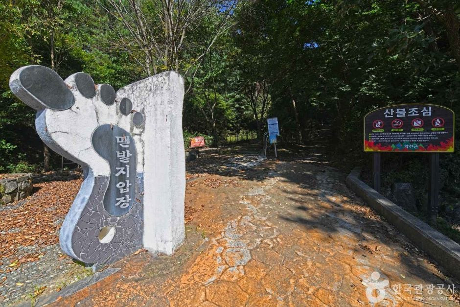 낭천산림욕장 여행 추천 - 로드트립
