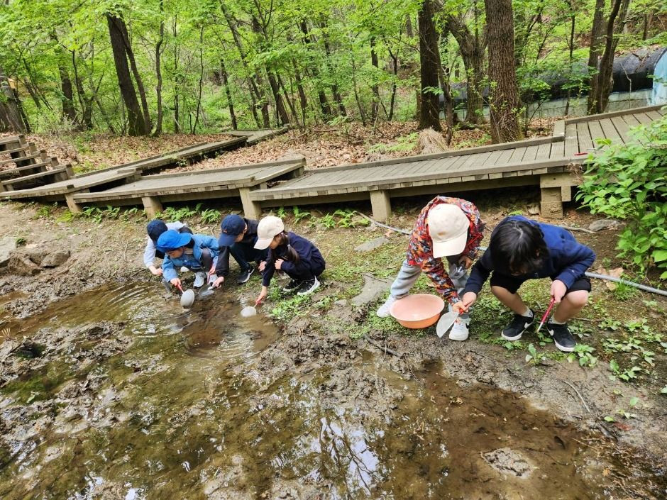 맹산반딧불이자연학교 여행 추천 - 로드트립
