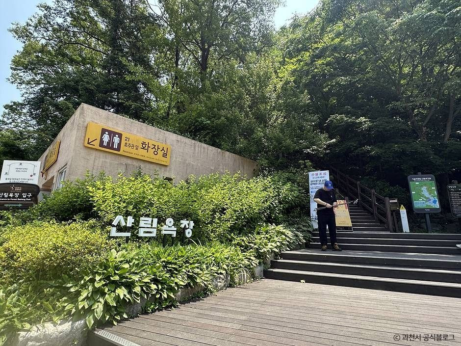 서울대공원 산림욕장 여행 추천 - 로드트립