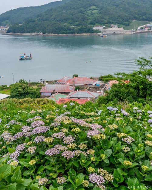 힐링파크 쑥섬쑥섬(애도) 여행 추천 - 로드트립