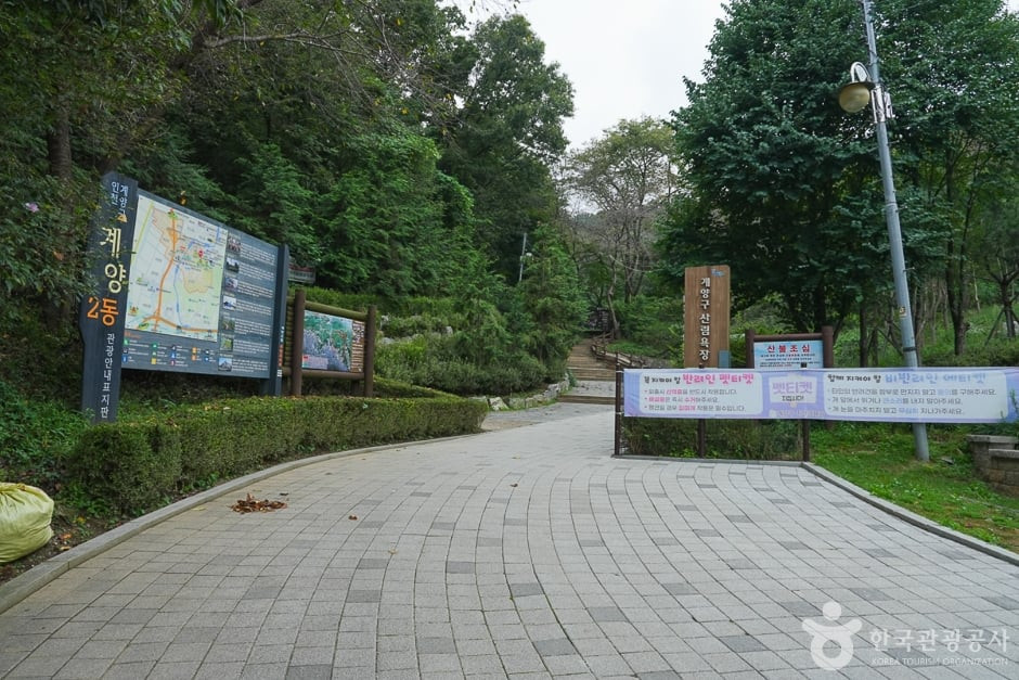 계양산 산림욕장 여행 추천 - 로드트립