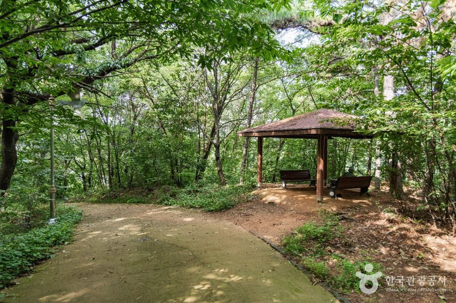 성라공원 여행 추천 - 로드트립