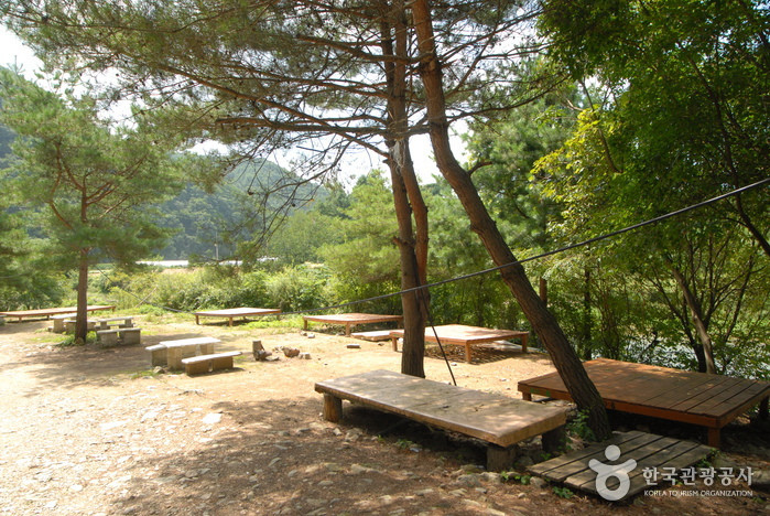 주천강자연휴양림 여행 추천 - 로드트립