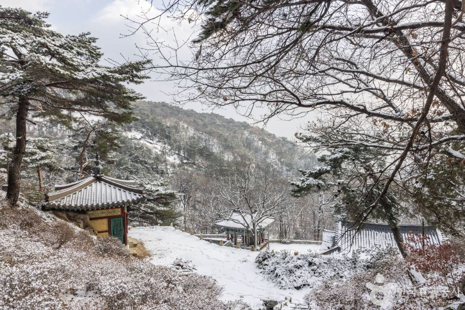 내원사(서울) 여행 추천 - 로드트립