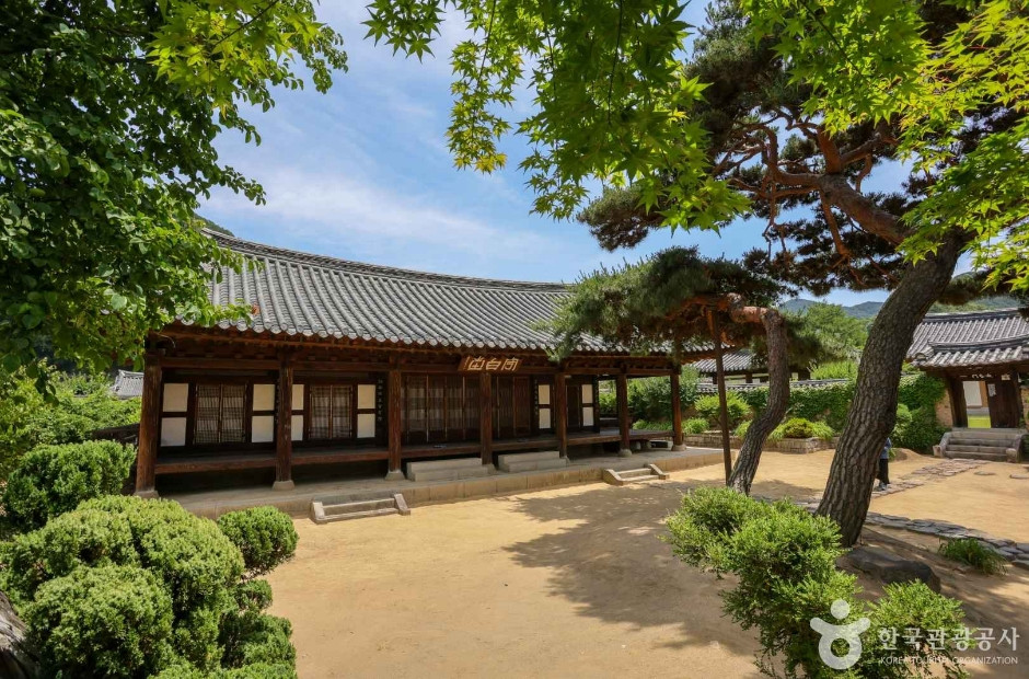 수봉정사 여행 추천 - 로드트립