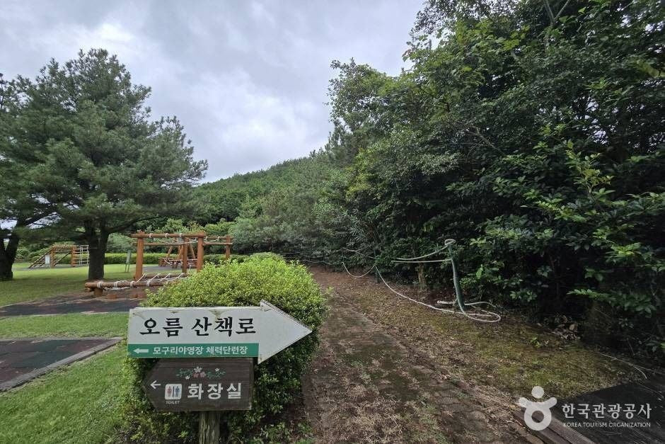 모구리오름 여행 추천 - 로드트립