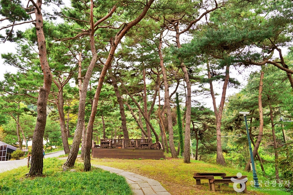진천 배티 성지 여행 추천 - 로드트립
