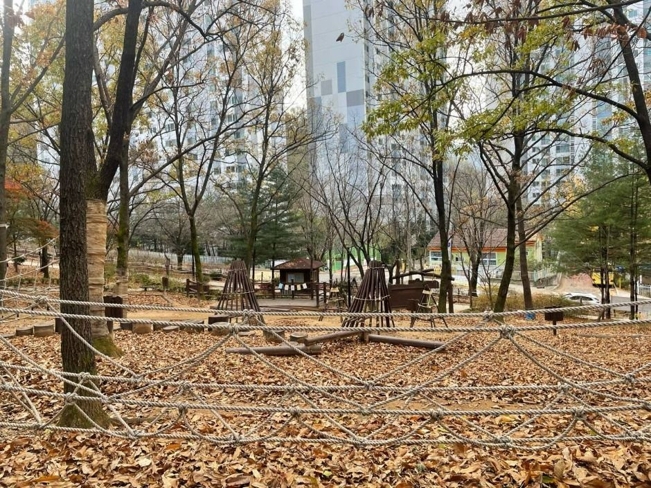 오목문화 유아숲체험원 여행 추천 - 로드트립