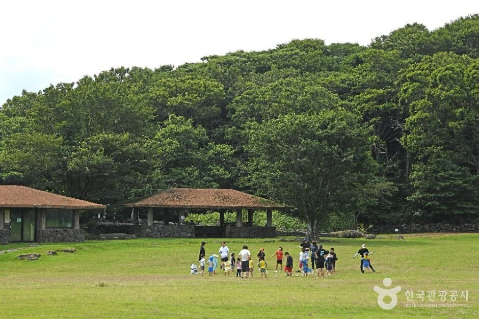 제주 교래자연휴양림 여행 추천 - 로드트립