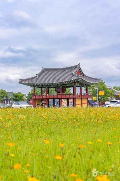 정수루 여행 추천 - 로드트립