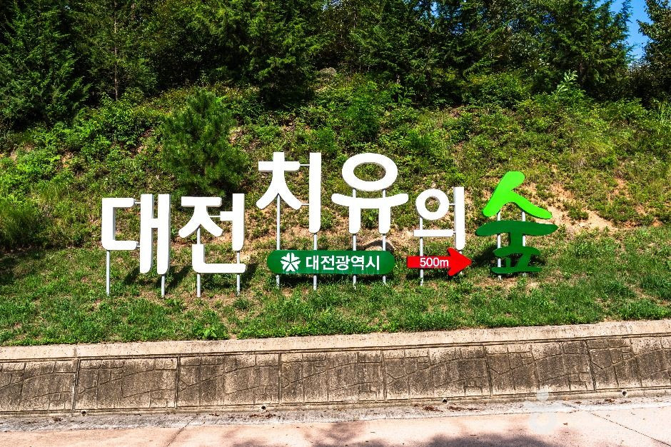 대전 치유의 숲 여행 추천 - 로드트립